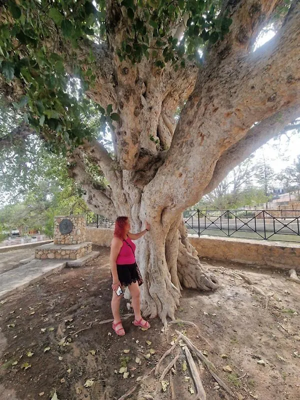 Awaken Your Divine Self Sacred Self Discovery Retreat In Ayia Napa Cyprus
